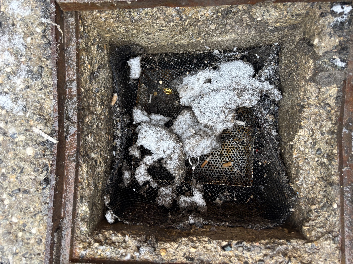 Macro-déchets filtrés par une grille anti-pollution Eco Safe
