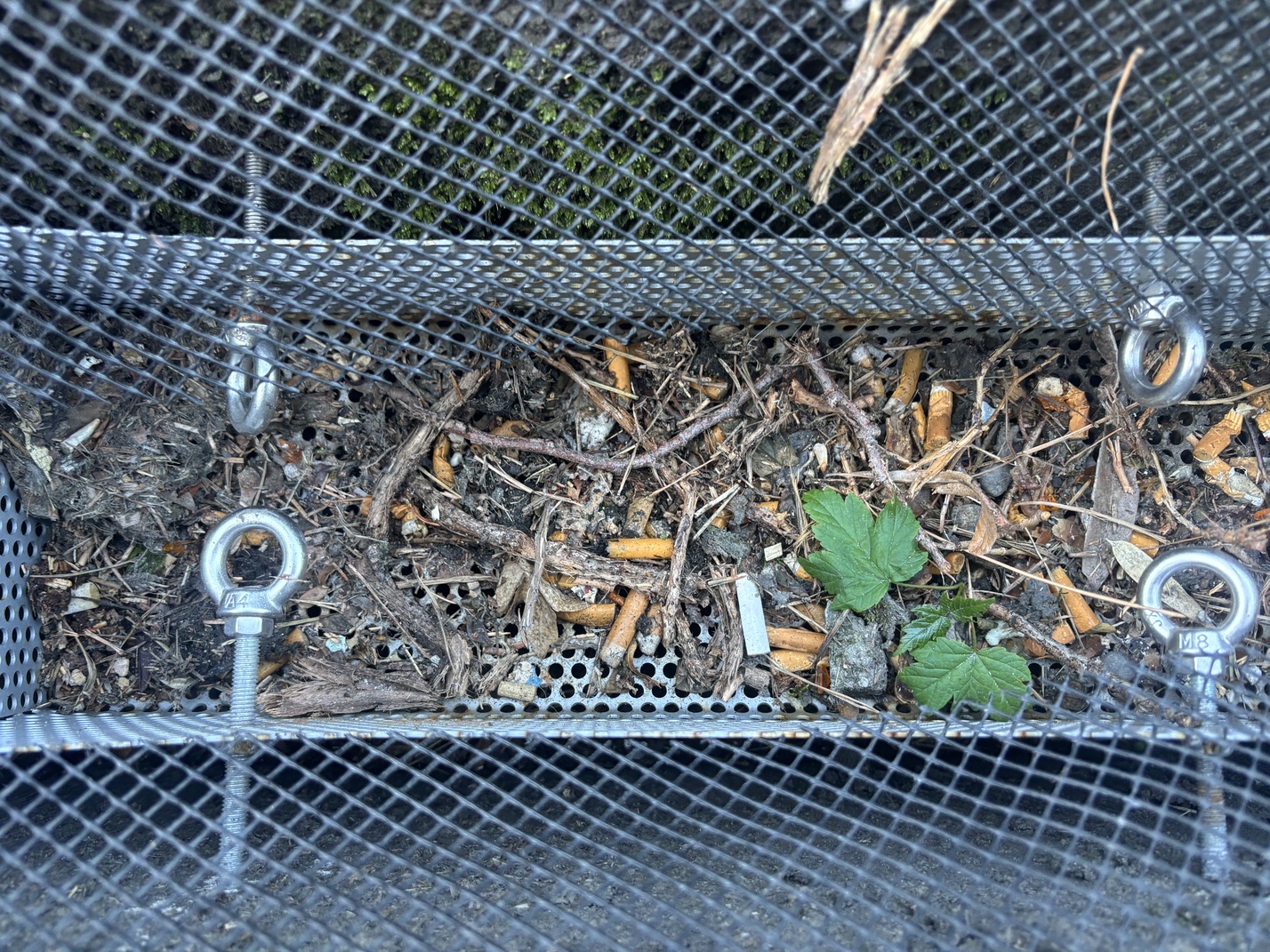 Mélange de feuilles, plastiques et mégots