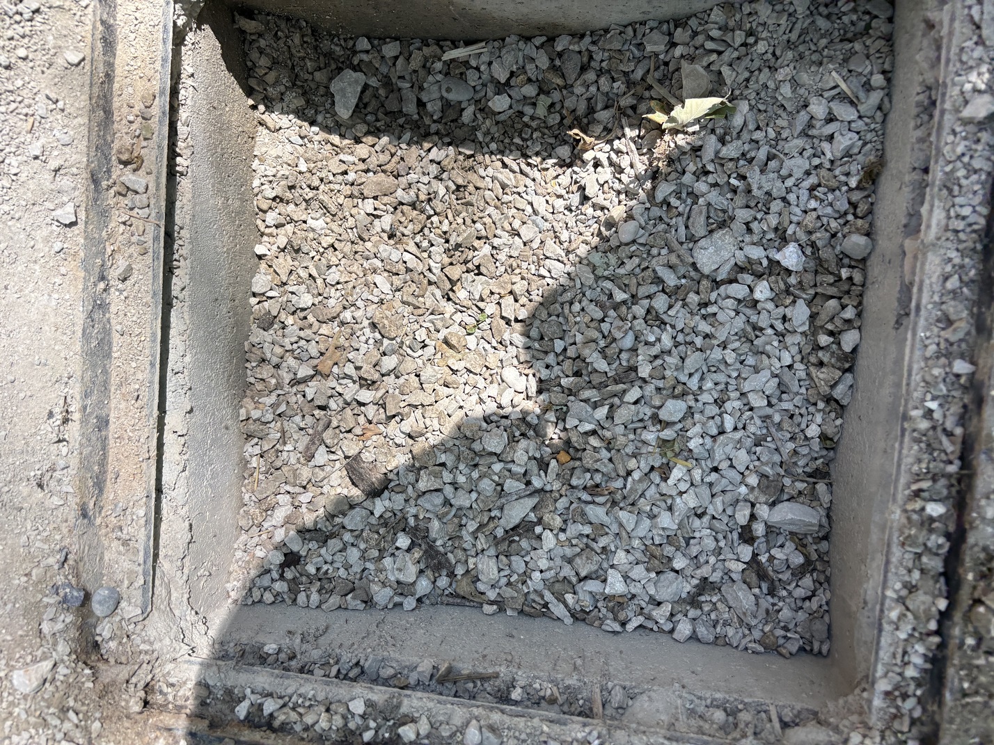 Regard pluvial avec déchets capturés